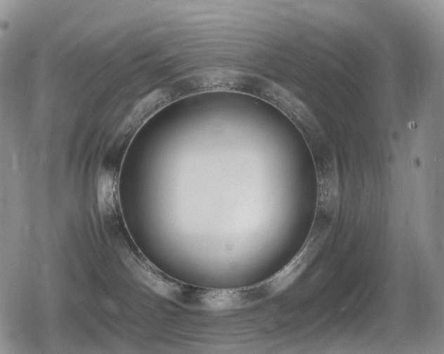 X0000080750142200612151324