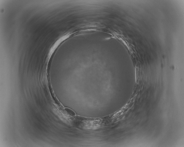 X0000080750147200612151323