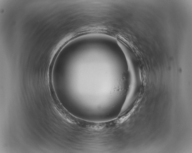 X0000080750148200612151323