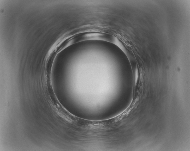 X0000080750150200612151323