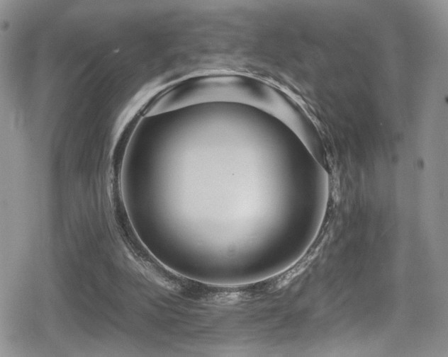 X0000080750152200612151323