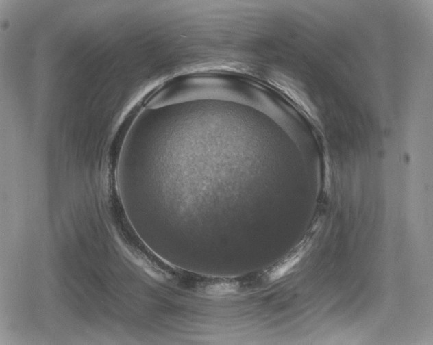X0000080750156200612151323