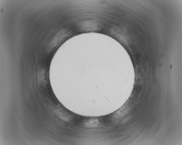 X0000080750162200612151323