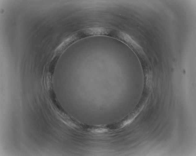 X0000080750165200612151323