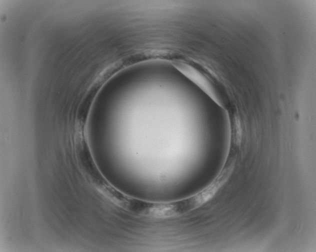 X0000080750172200612151323