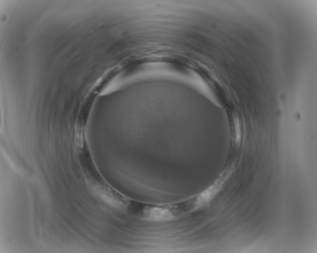 X0000080750180200612151324
