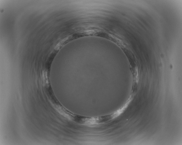 X0000080750182200612151324