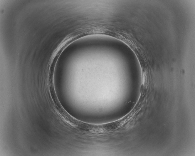 X0000080750195200612151323