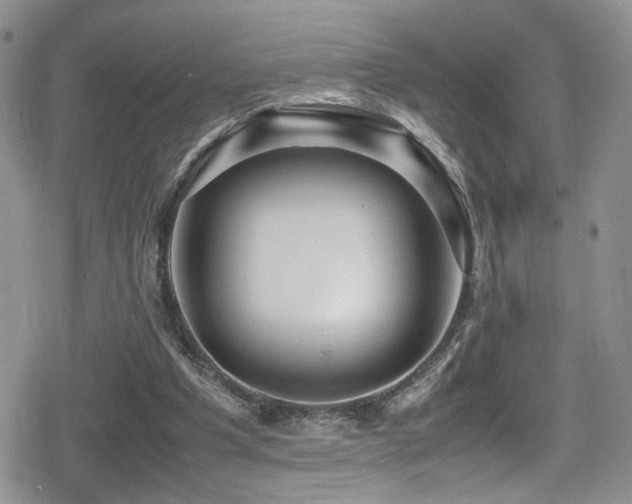 X0000080750201200612151323