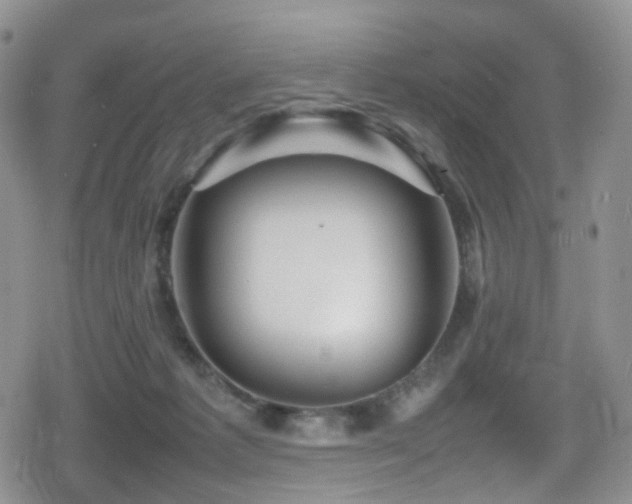 X0000080750221200612151322