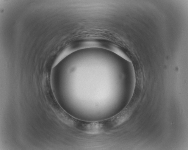 X0000080750225200612151322
