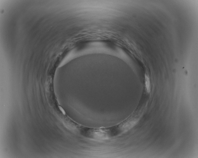 X0000080750229200612151322