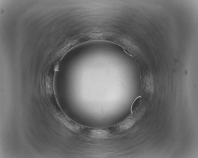 X0000080750234200612151322