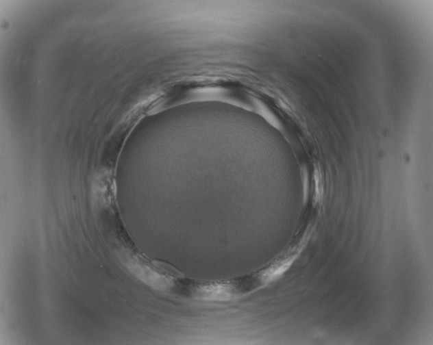 X0000080750237200612151322