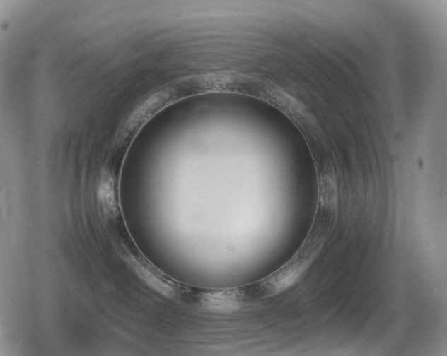 X0000080750238200612151322