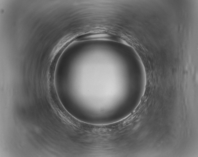 X0000080750242200612151321