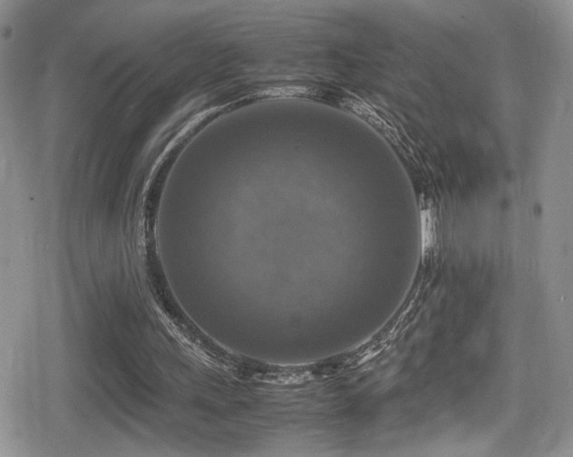 X0000080750243200612151321
