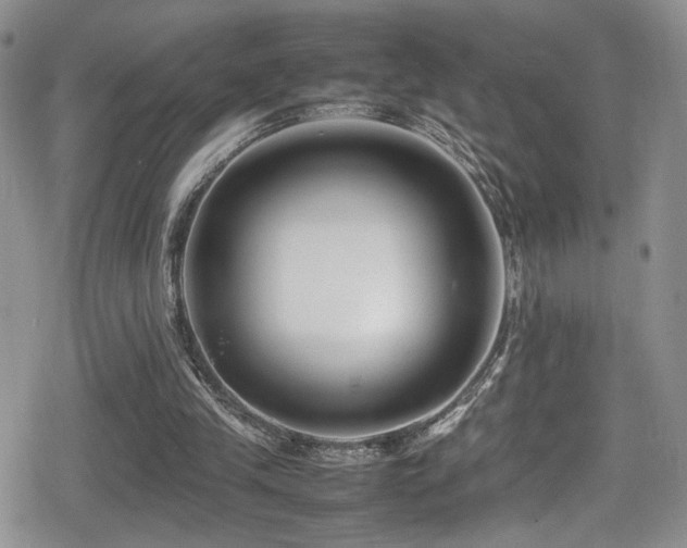 X0000080750245200612151321