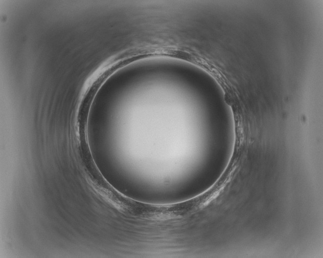 X0000080750246200612151321