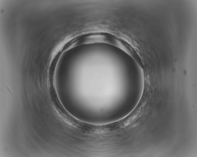 X0000080750248200612151322