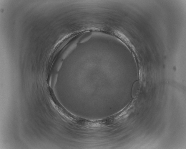 X0000080750249200612151322