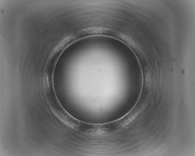 X0000080750254200612151322