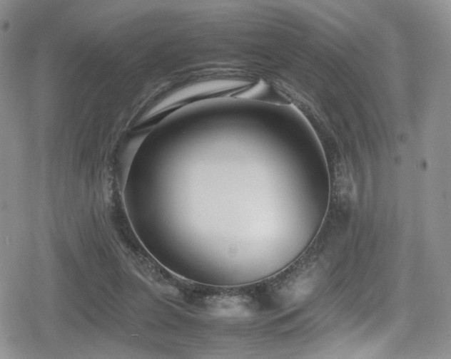 X0000080750255200612151322