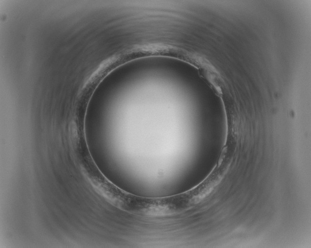 X0000080750256200612151322