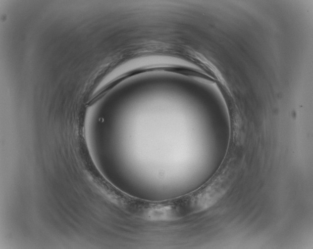 X0000080750257200612151322