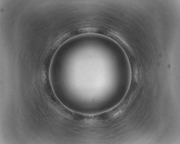 X0000080750259200612151322