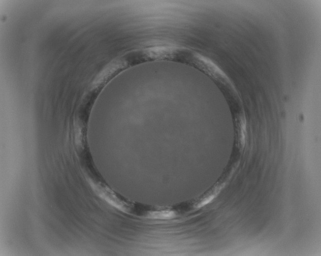 X0000080750266200612151322