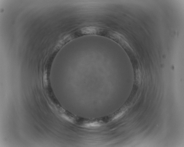 X0000080750267200612151322