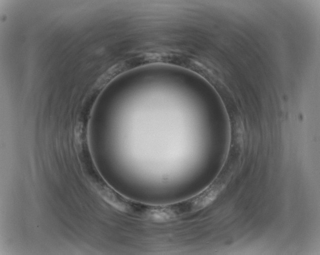 X0000080750275200612151322