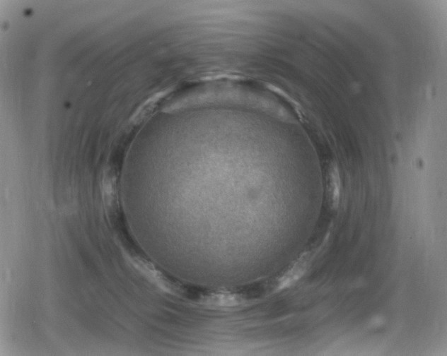 X0000080750276200612151322