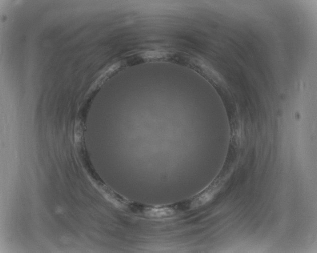 X0000080750277200612151322