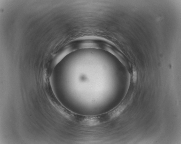 X0000080750280200612151322
