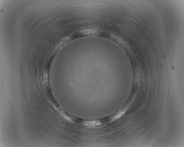 X0000080750281200612151322