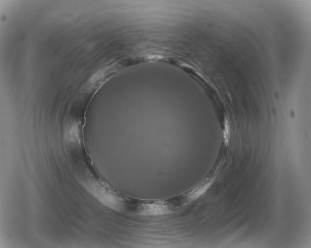X0000080750286200612151322
