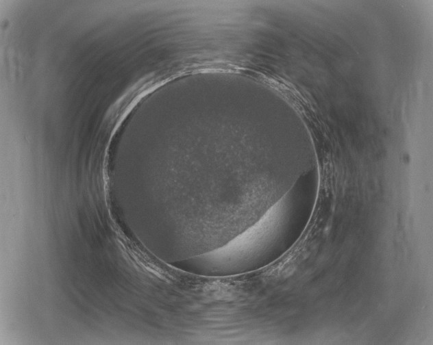 X0000080750290200612151321