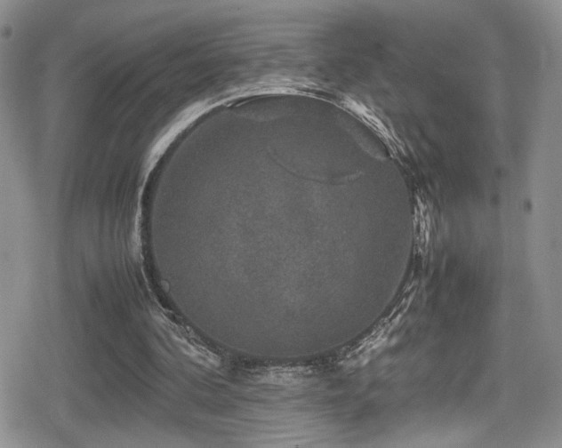X0000080750292200612151321
