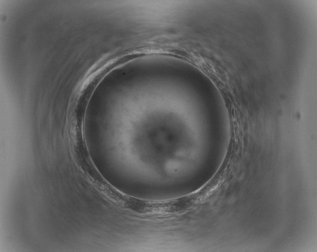 X0000080750295200612151321