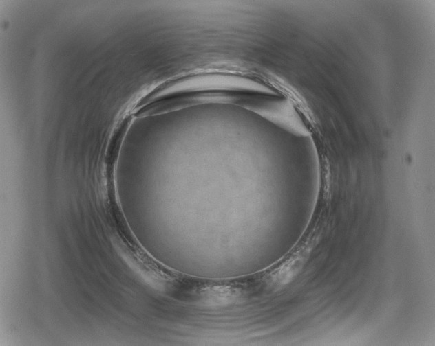 X0000080750298200612151321