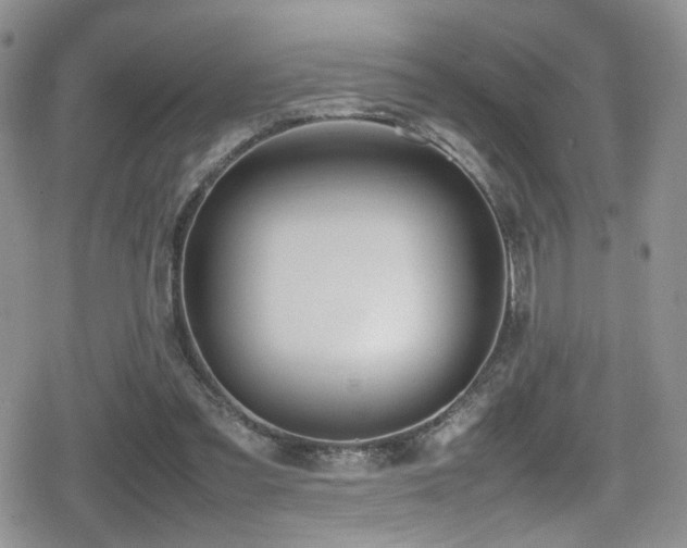 X0000080750301200612151321