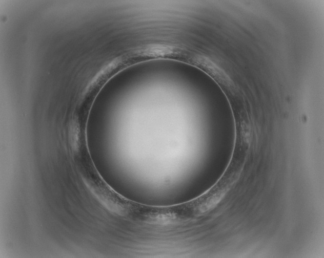 X0000080750304200612151321
