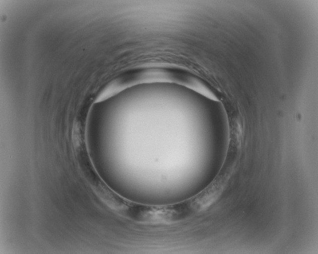X0000080750323200612151321