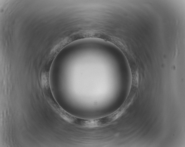 X0000080750335200612151321