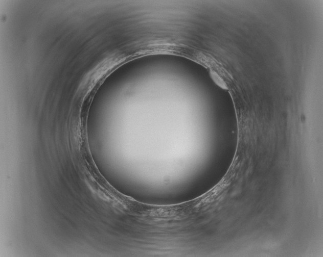 X0000080750338200612151320