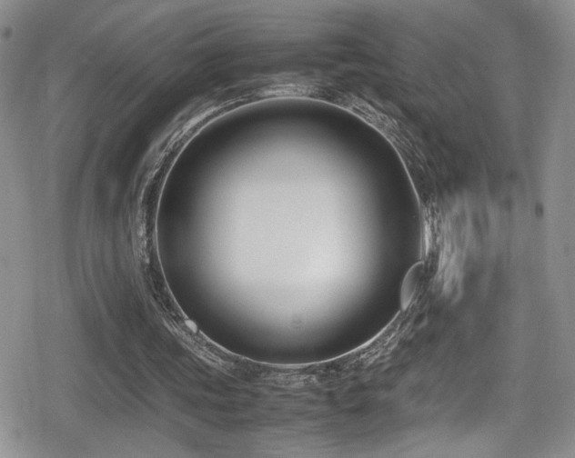 X0000080750339200612151320