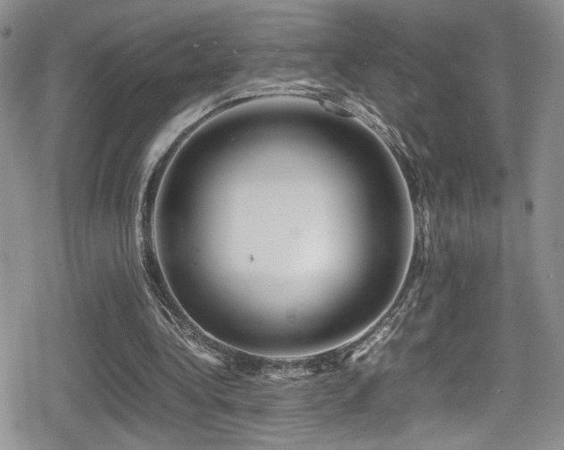X0000080750340200612151320