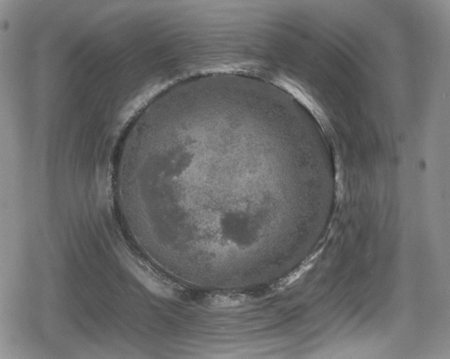 X0000080750346200612151320